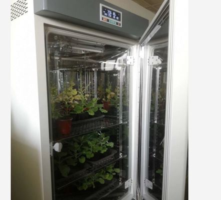Incubadora artificial de la caja del crecimiento vegetal de la máquina de la germinación de la semilla del clima de la cámara del crecimiento vegetal de LIYI
