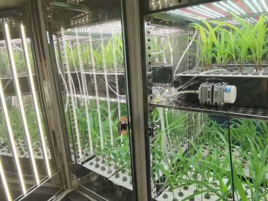 Cámara de crecimiento vegetal Liyi, máquina de germinación de semillas con clima artificial, incubadora para el crecimiento de plantas